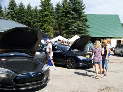 Two Teslas